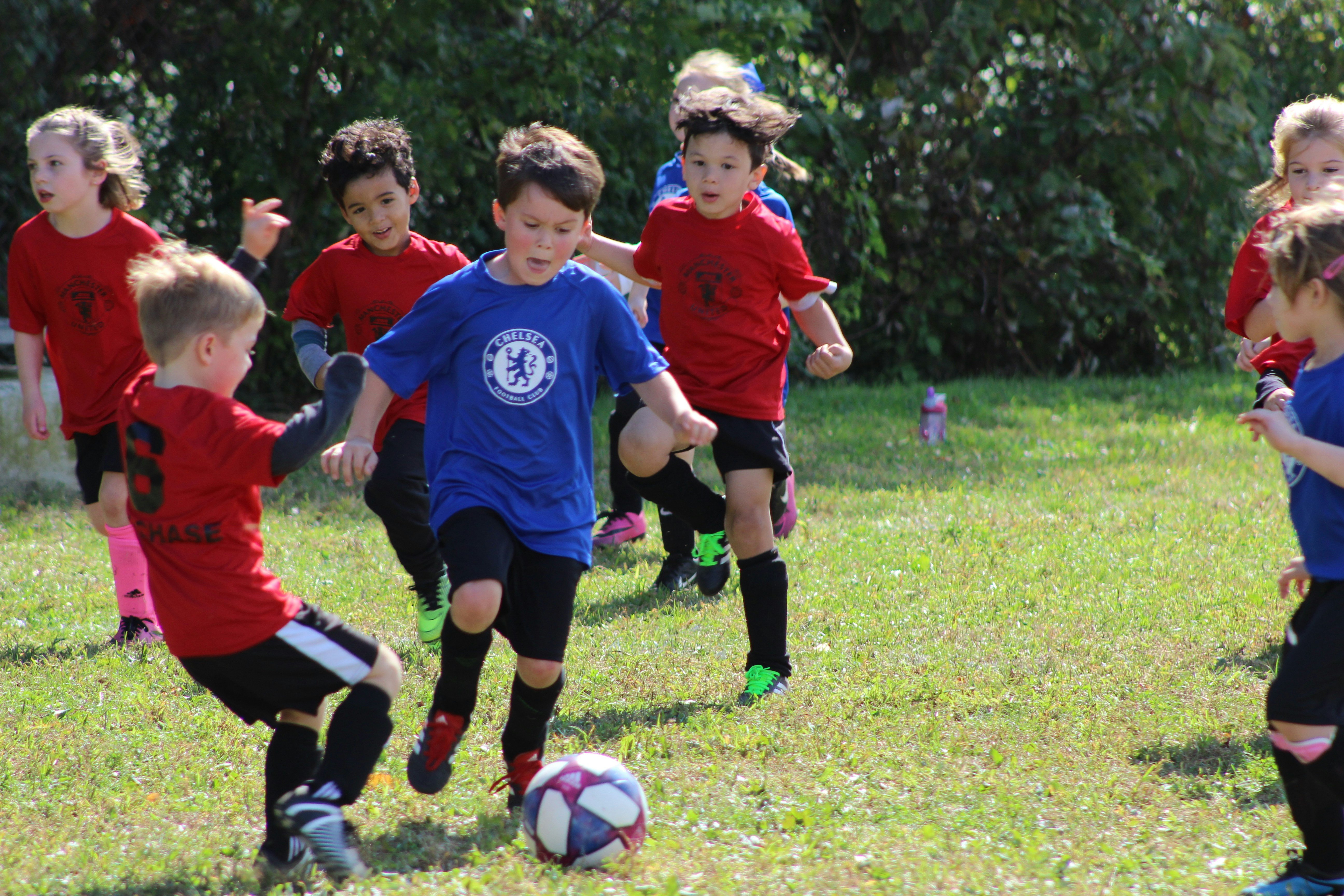 10 Essential Questions to Ask an International School