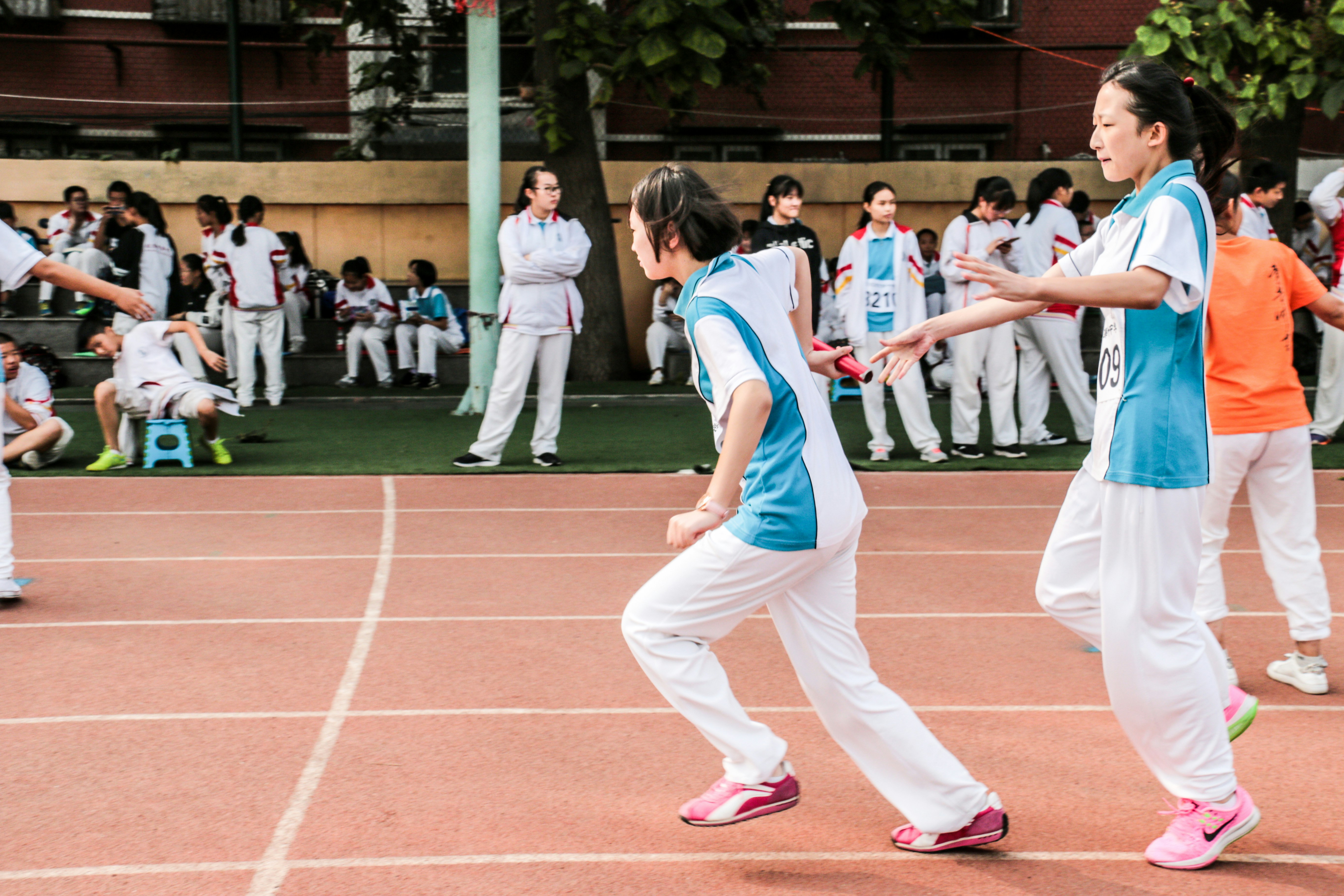 Best Tools to Find International Schools in Qatar