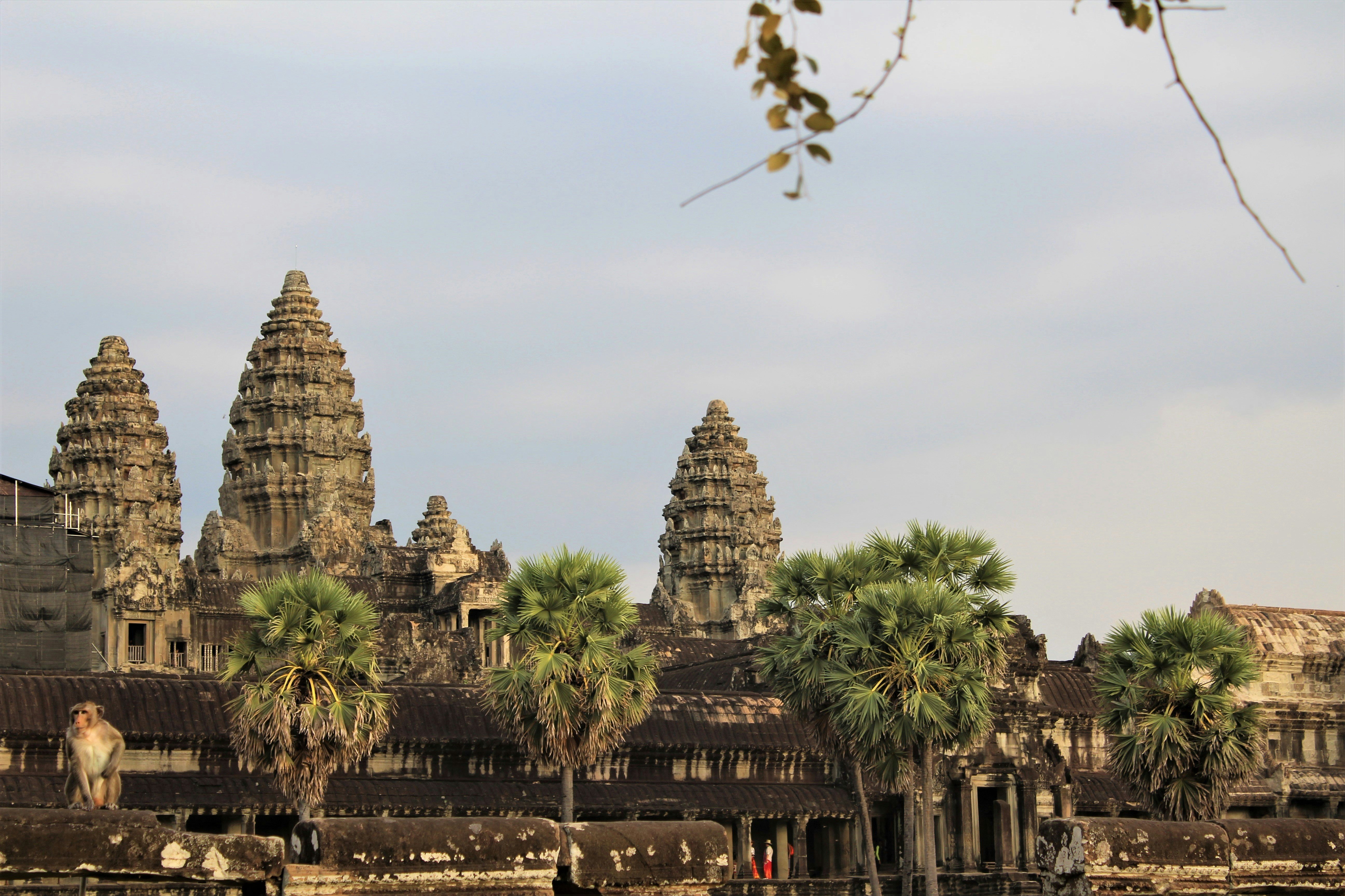 Best Areas for Families in Cambodia 2026: Schools, Neighbourhoods and What to Expect