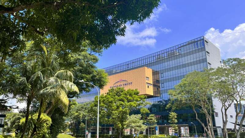 Complete List of International Schools in Singapore (2025 Edition)